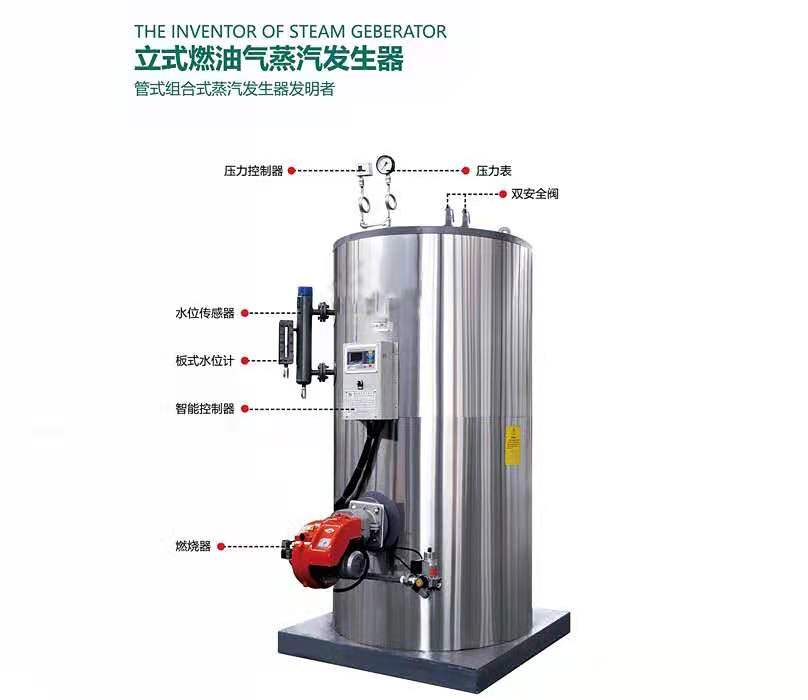 燃氣燃油蒸汽發生器